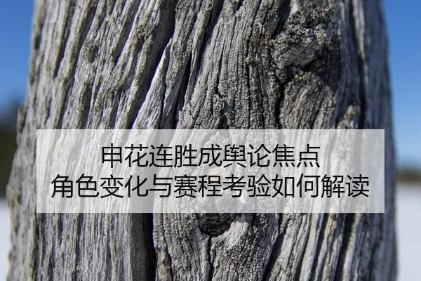 shen-hua-lian-sheng-cheng-yu-lun-jiao-dian-jue-se-bian-hua-yu-sai-cheng-kao-yan-ru-he-jie-du-2-937.jpg